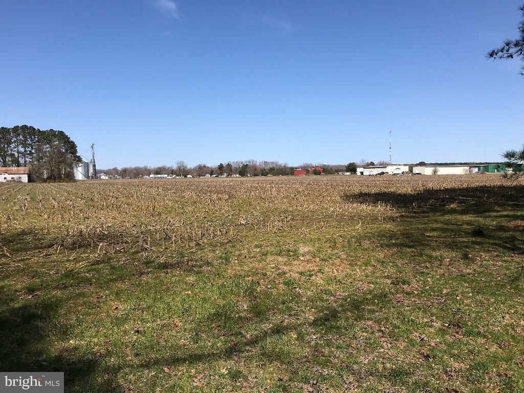 11329 Old Princess Anne Road Princess Anne, MD 21853 - Photo 23 of 24 Side Yard Looking to 5 Acre Field