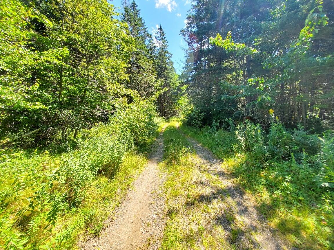 300 Village Road Steuben, ME 04680 - Photo 50 of 80 driveway