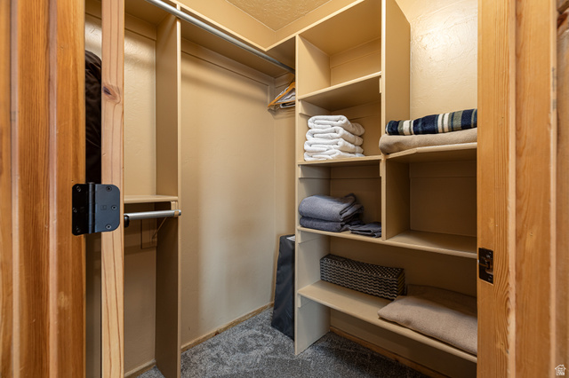 1505 West Elk Ridge Drive Alton, UT 84710 - Photo 14 of 53 Walk in closet featuring dark colored carpet