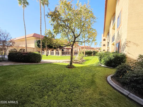 a view of a garden with a tree