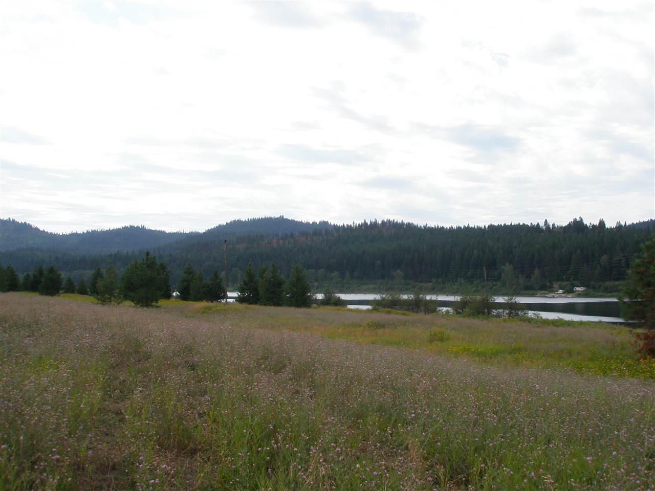 562 Open Skies Road Newport, WA 99156 - Photo 2 of 6 Gallery Image 2