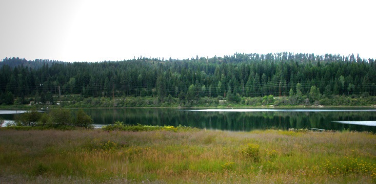 562 Open Skies Road Newport, WA 99156 - Photo 3 of 6 Gallery Image 3