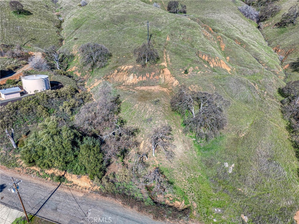 7780 Verna Way Lucerne, CA 95458 - Photo 13 of 28 a view of a yard with plants