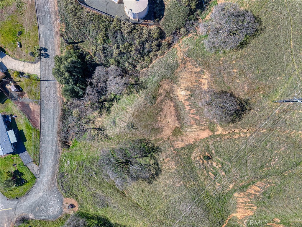 7780 Verna Way Lucerne, CA 95458 - Photo 14 of 28 a view of a yard with plants