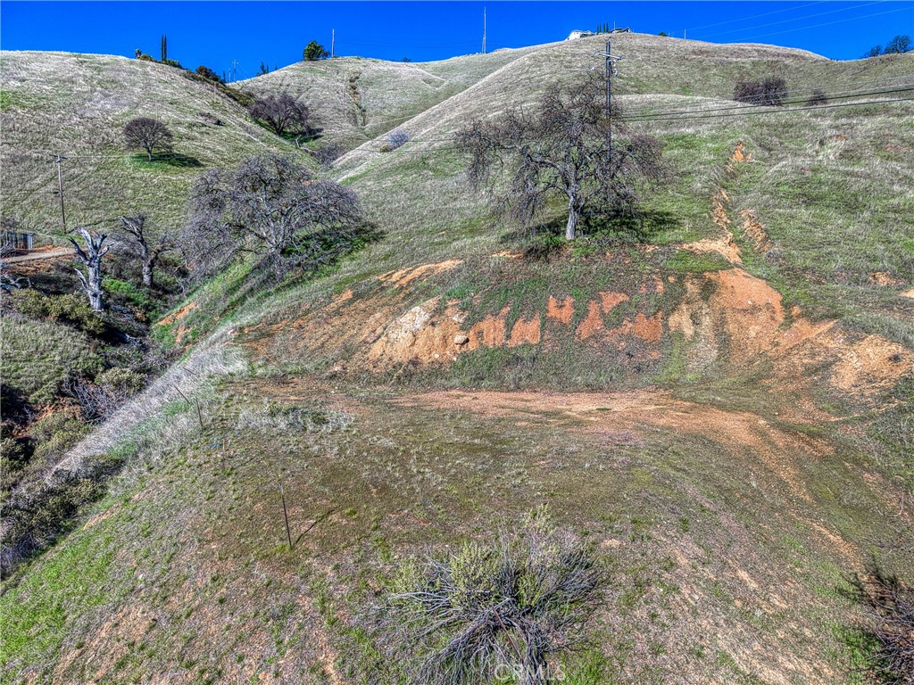 7780 Verna Way Lucerne, CA 95458 - Photo 19 of 28 a view of a yard with trees