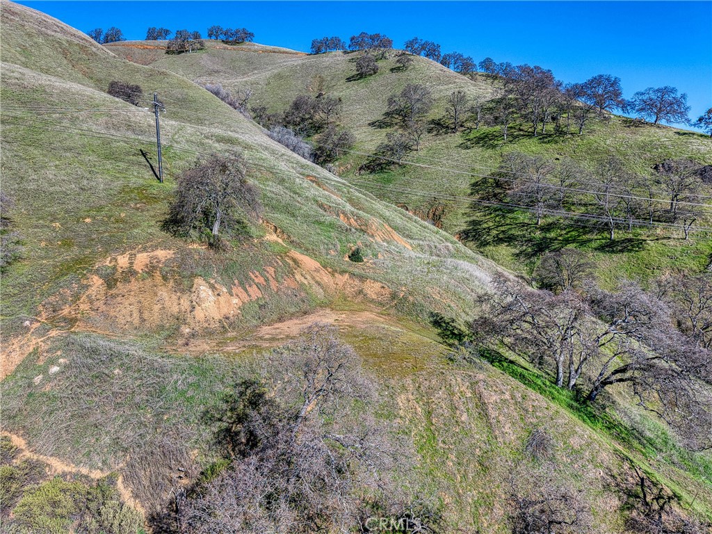 7780 Verna Way Lucerne, CA 95458 - Photo 20 of 28 a view of a yard with trees in the background