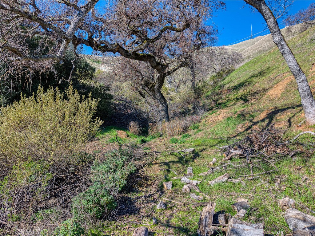 7780 Verna Way Lucerne, CA 95458 - Photo 26 of 28 a backyard of a house with lots of green space