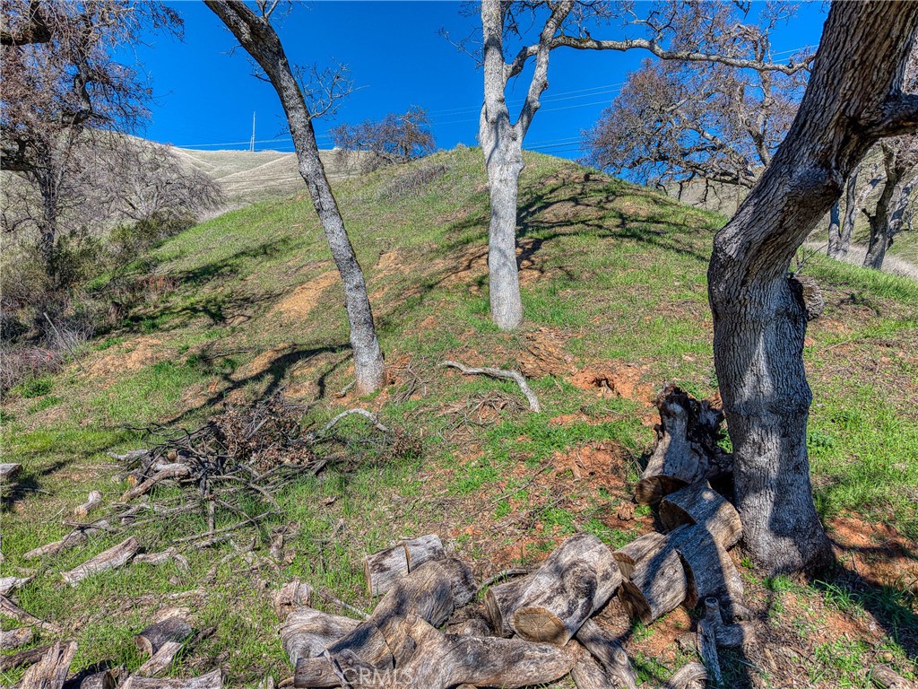 7780 Verna Way Lucerne, CA 95458 - Photo 27 of 28 a backyard of a house with lots of green space