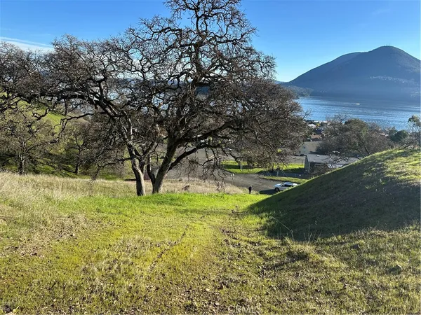 a view of a yard with an outdoor space