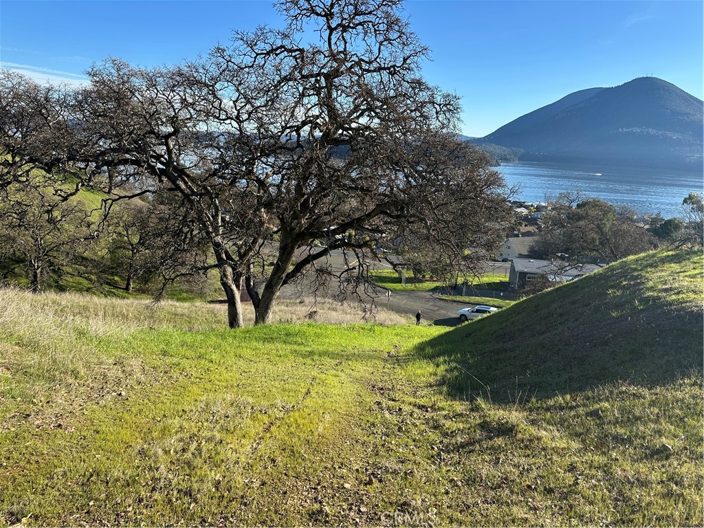 7780 Verna Way Lucerne, CA 95458 - Photo 7 of 28 a view of a yard with a tree