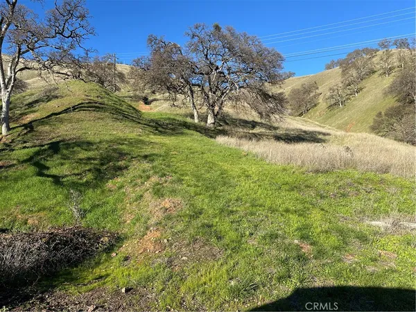 a view of a backyard of the house