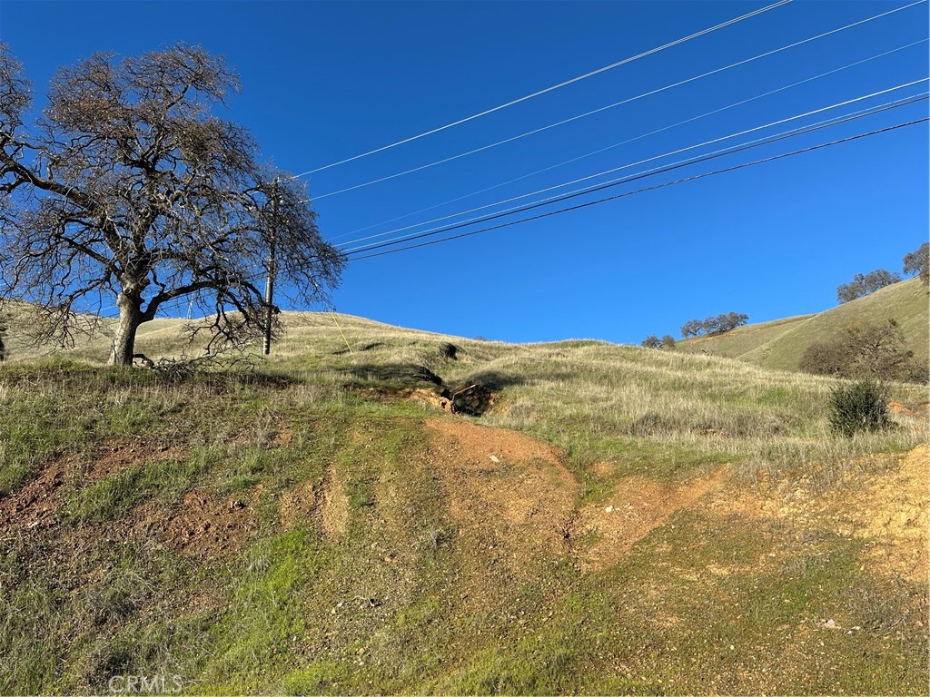 7780 Verna Way Lucerne, CA 95458 - Photo 9 of 28 a view of a backyard of the house