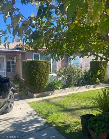 a view of a backyard with plants and patio