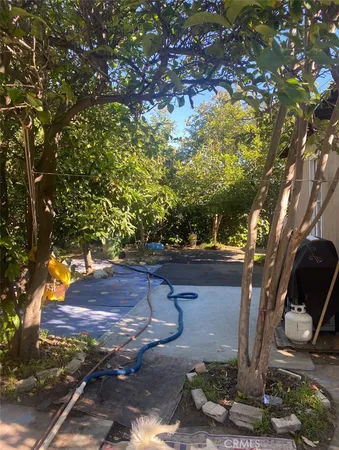 a view of a house with a garden