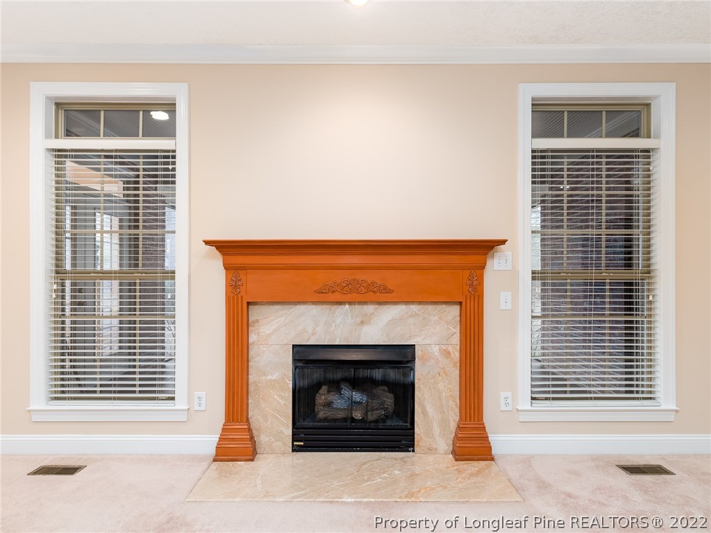 119 Myra Road Raeford, NC 28376 - Photo 14 of 43 a living room with a fireplace and windows