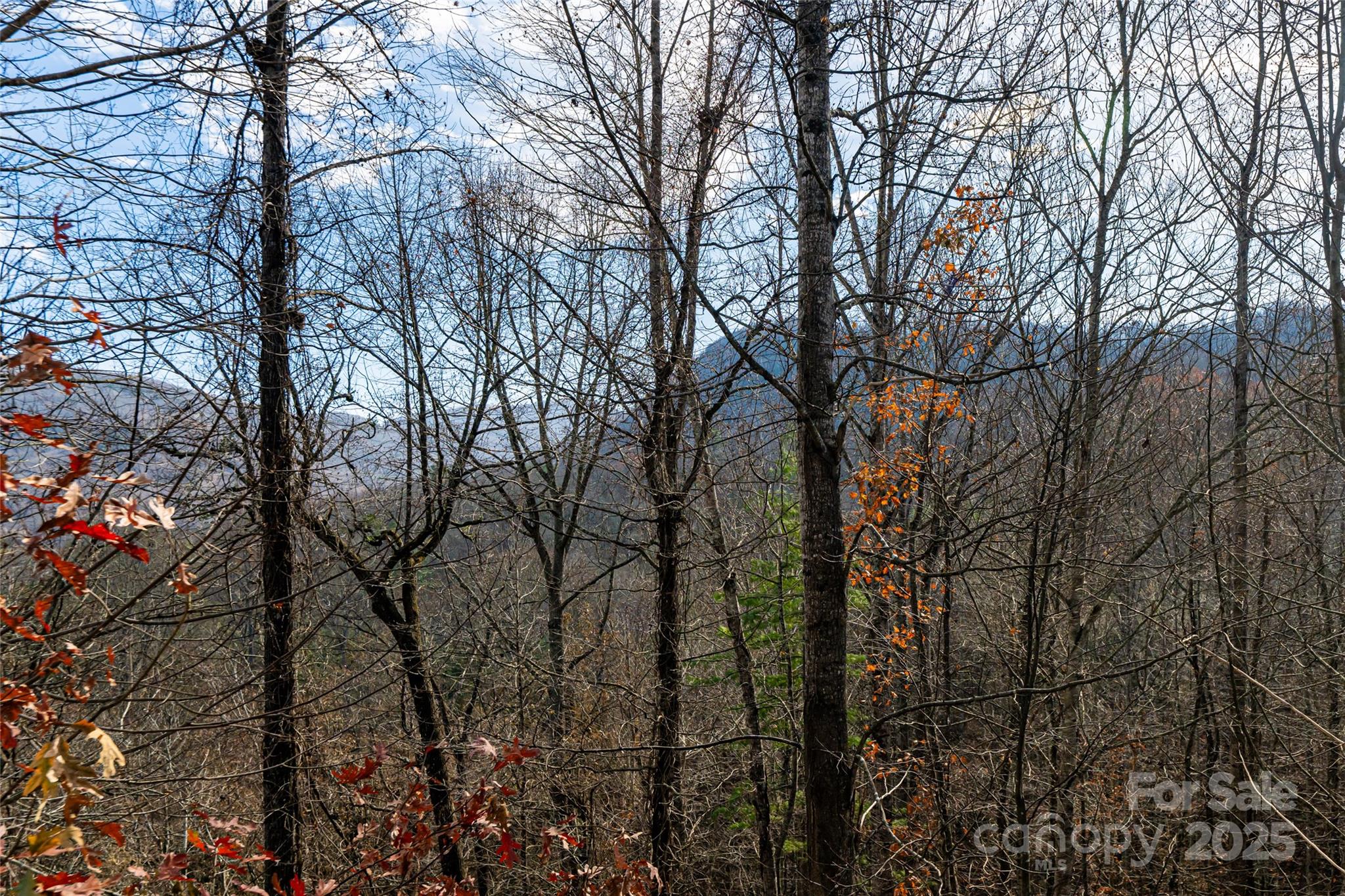98 Sovereign Lane Fairview, NC 28730 - Photo 23 of 42