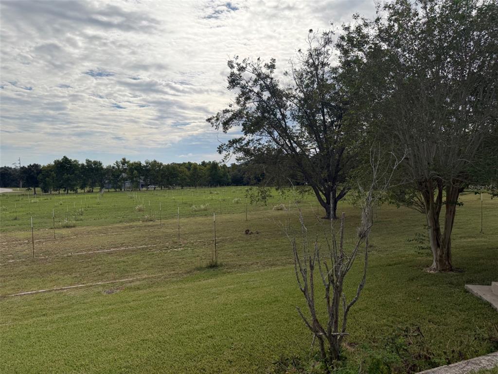 1815 Adams Barn Road Lake Alfred, FL 33850 - Photo 19 of 20 Gallery Image 19