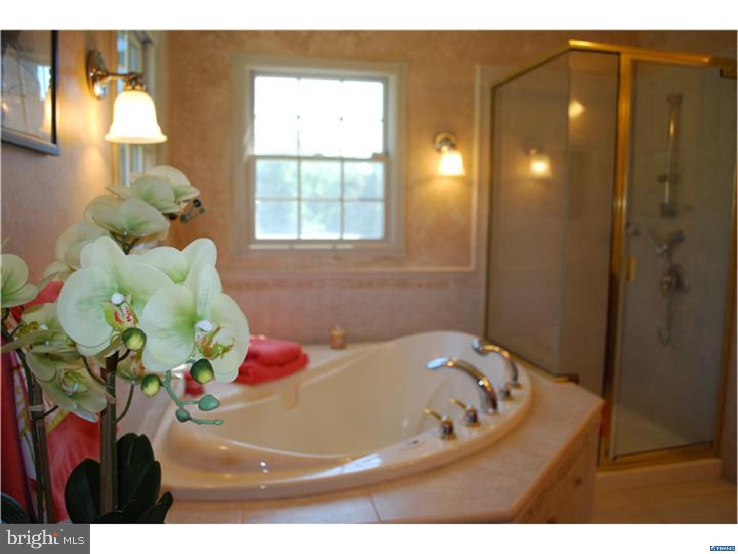 241 Pine Tree Road Townsend, DE 19734 - Photo 8 of 25 Gallery Image 8
