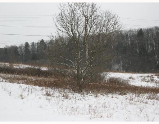 478 State Rte 1031 Templeton, PA 16259 - Photo 4 of 5 Land/Lot.