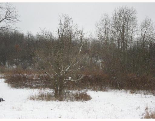 478 State Rte 1031 Templeton, PA 16259 - Photo 5 of 5 Land/Lot.