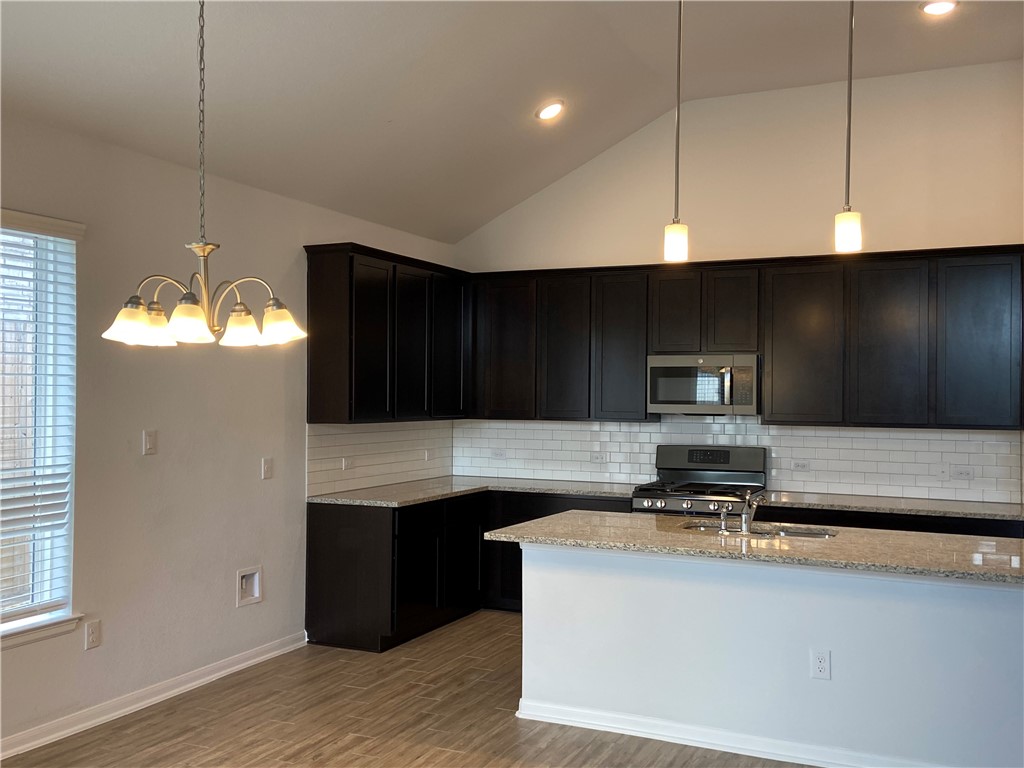 481 Leadtree Loop Buda, TX 78610 - Photo 10 of 26