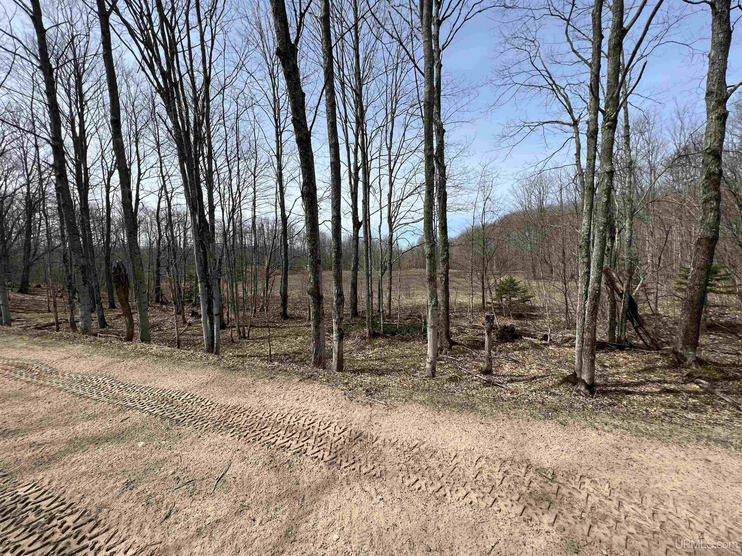 H58 St Shingleton Mi 49895 Shingleton, MI 49884 - Photo 16 of 21
