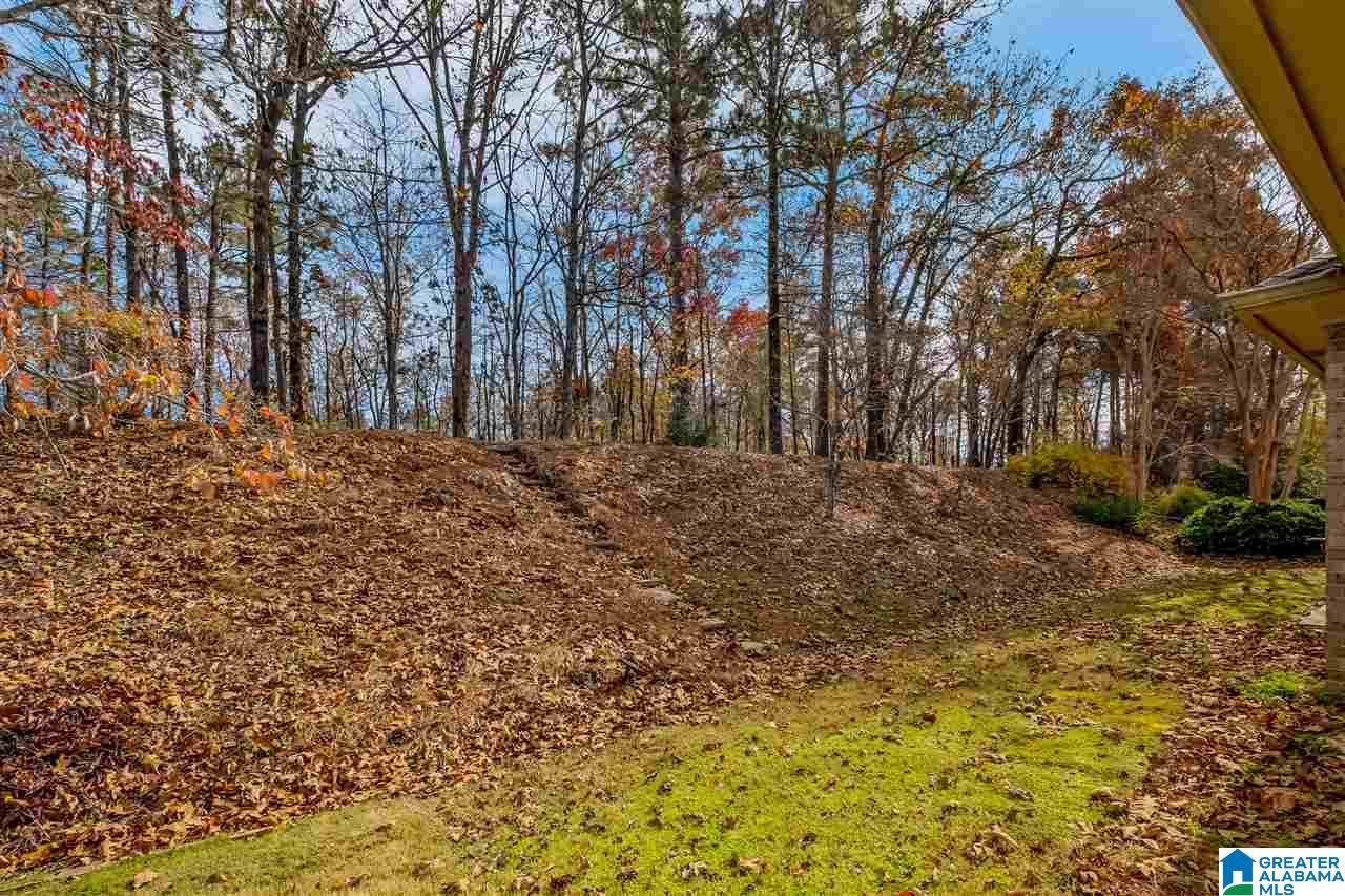 423 North Lake Road Birmingham, AL 35242 - Photo 40 of 40