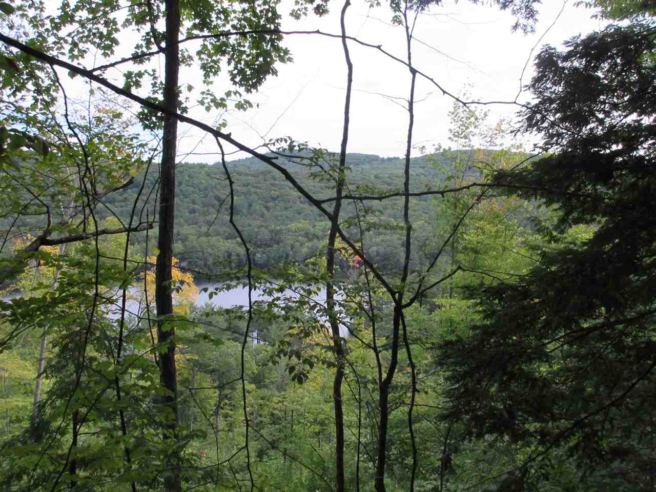 0 Bickford Pond Road Porter, ME 04068 - Photo 1 of 9 Gallery Image 1
