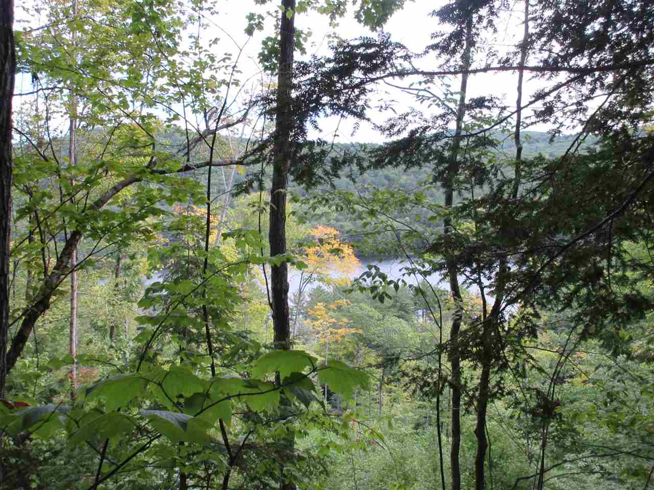 0 Bickford Pond Road Porter, ME 04068 - Photo 2 of 9 Gallery Image 2