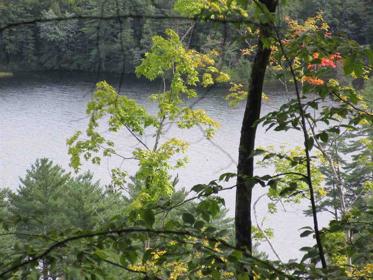 0 Bickford Pond Road Porter, ME 04068 - Photo 3 of 9 Gallery Image 3