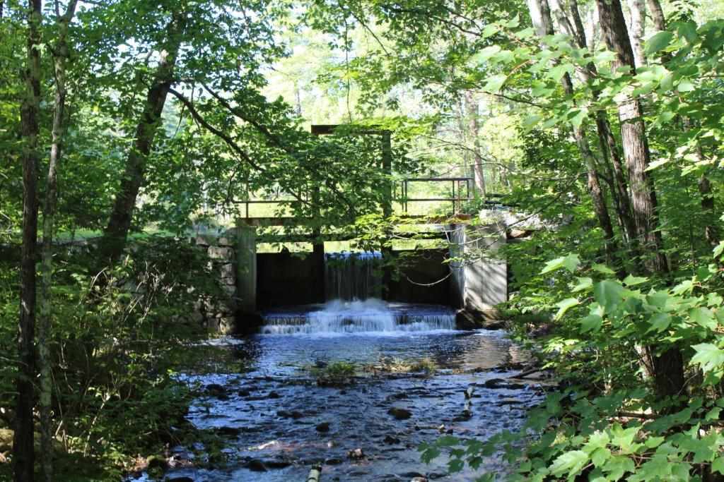 0 Bickford Pond Road Porter, ME 04068 - Photo 5 of 9 Gallery Image 5