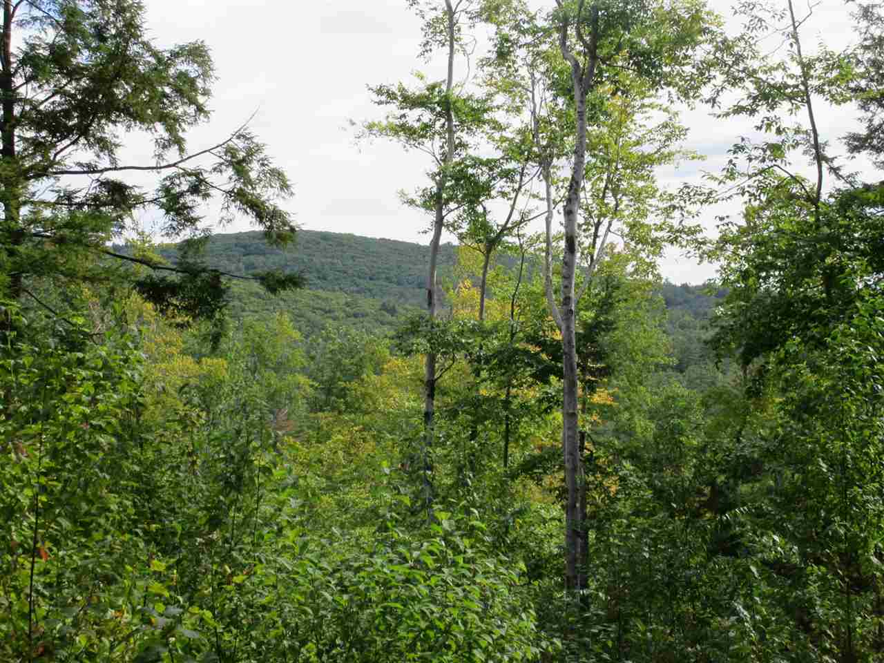 0 Bickford Pond Road Porter, ME 04068 - Photo 8 of 9 Gallery Image 8