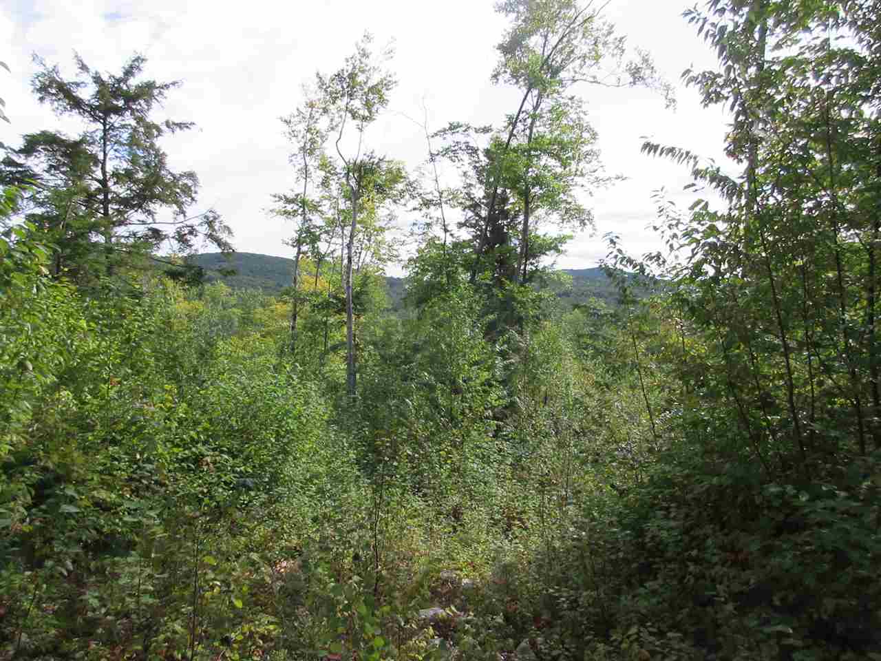 0 Bickford Pond Road Porter, ME 04068 - Photo 9 of 9 Gallery Image 9