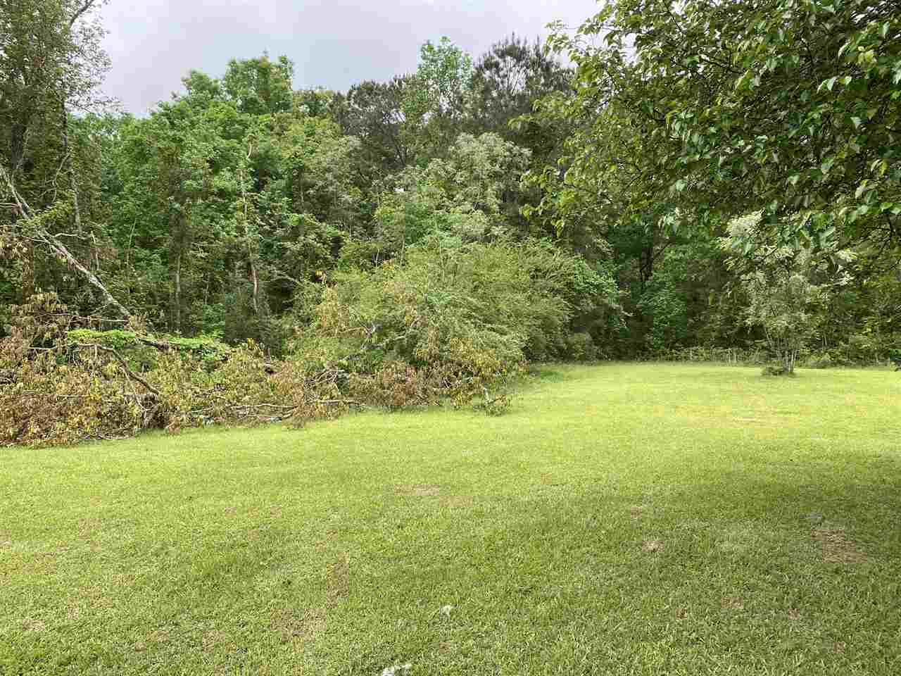 401 Clark Road Braxton, MS 39044 - Photo 39 of 49 Photo 39