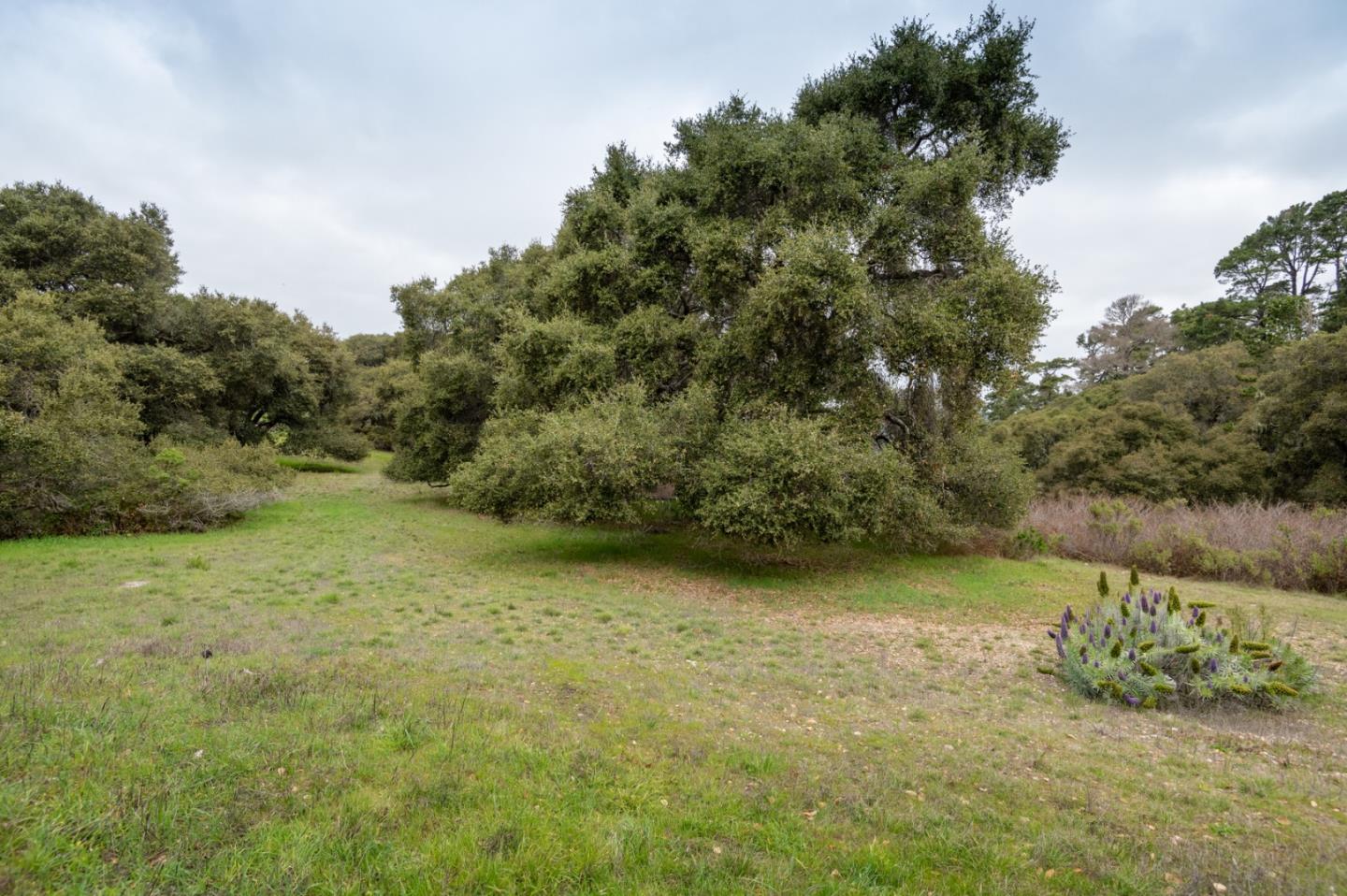 5486 Quail Meadows Drive Carmel, CA 93923 - Photo 3 of 5 a view of a tiny house with a yard