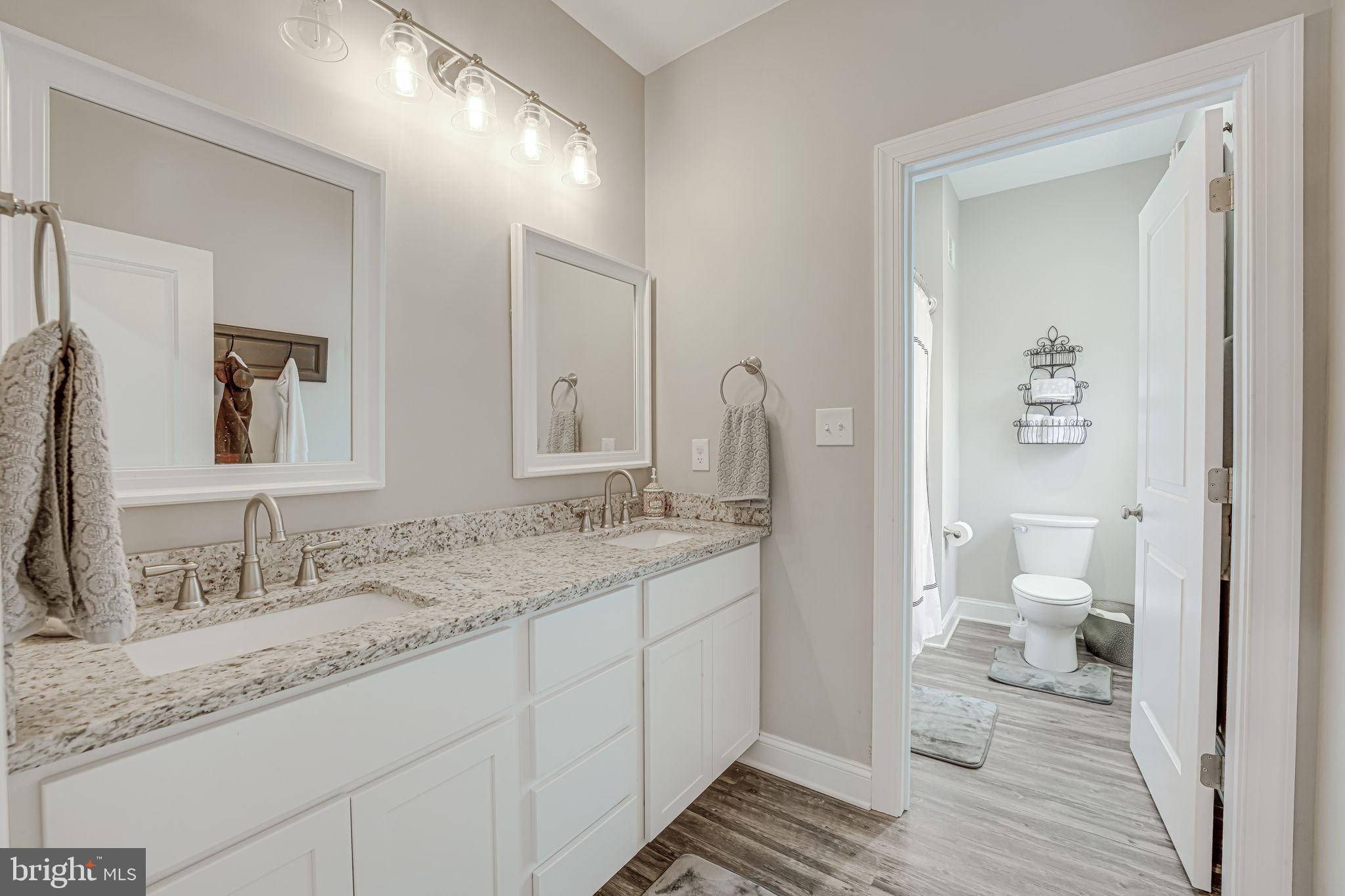 22471 Village Road Unionville, VA 22567 - Photo 5 of 43 Luxurious Primary Bath!