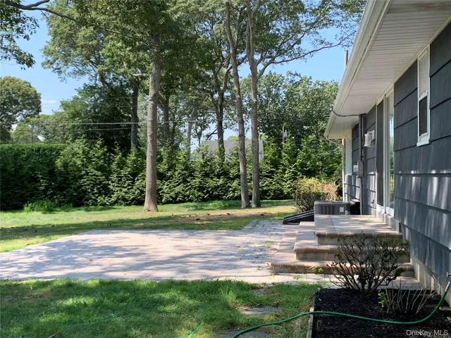 a view of a yard with plants and large trees
