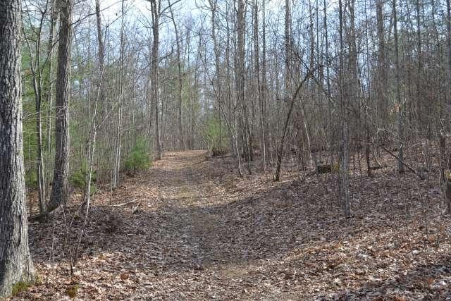 204 Brush Road Lewisburg, WV 24901 - Photo 36 of 60 Gallery Image 36