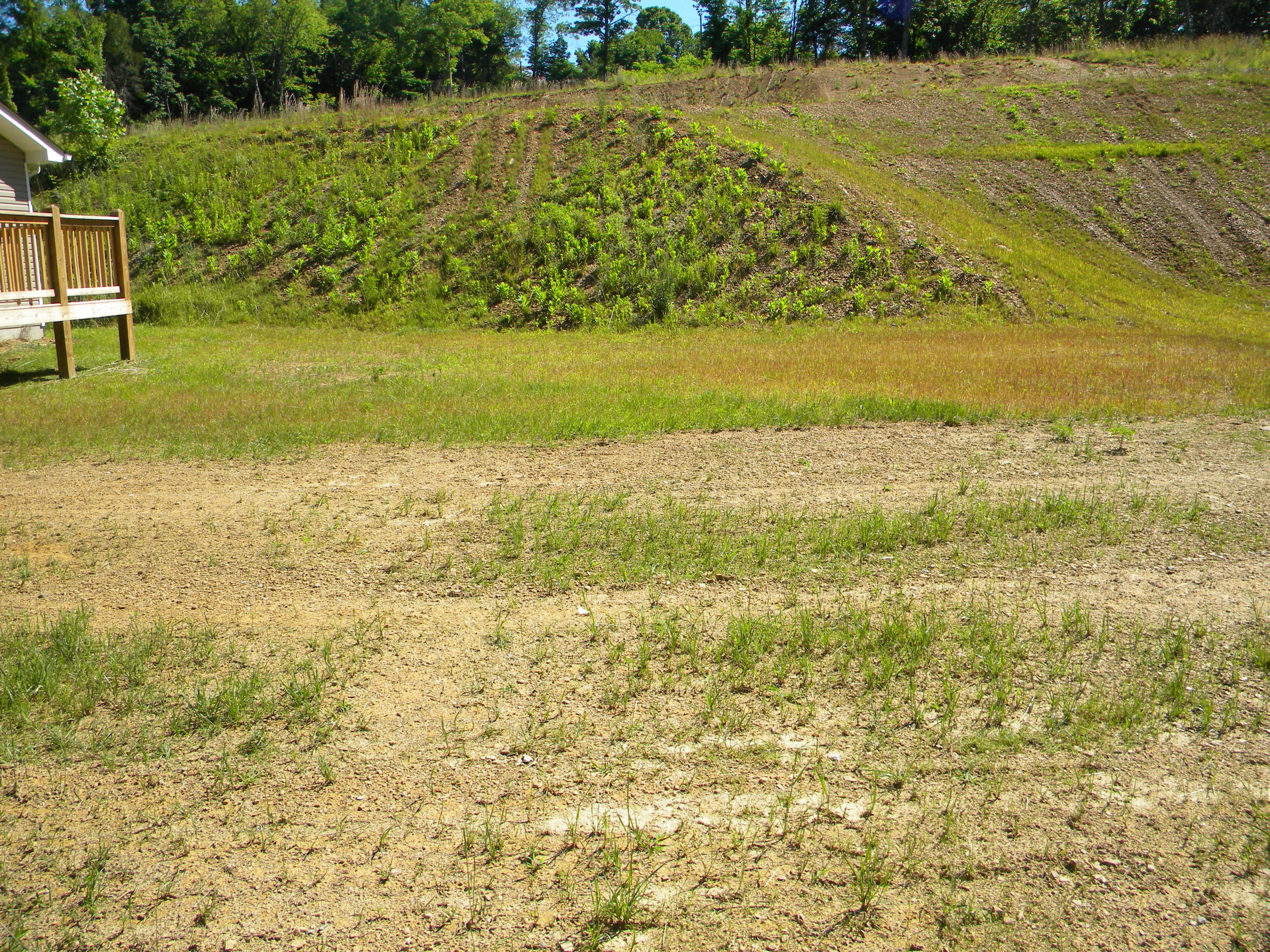 1264 Tramel Road Sevierville, TN 37862 - Photo 14 of 14 DSCN8459