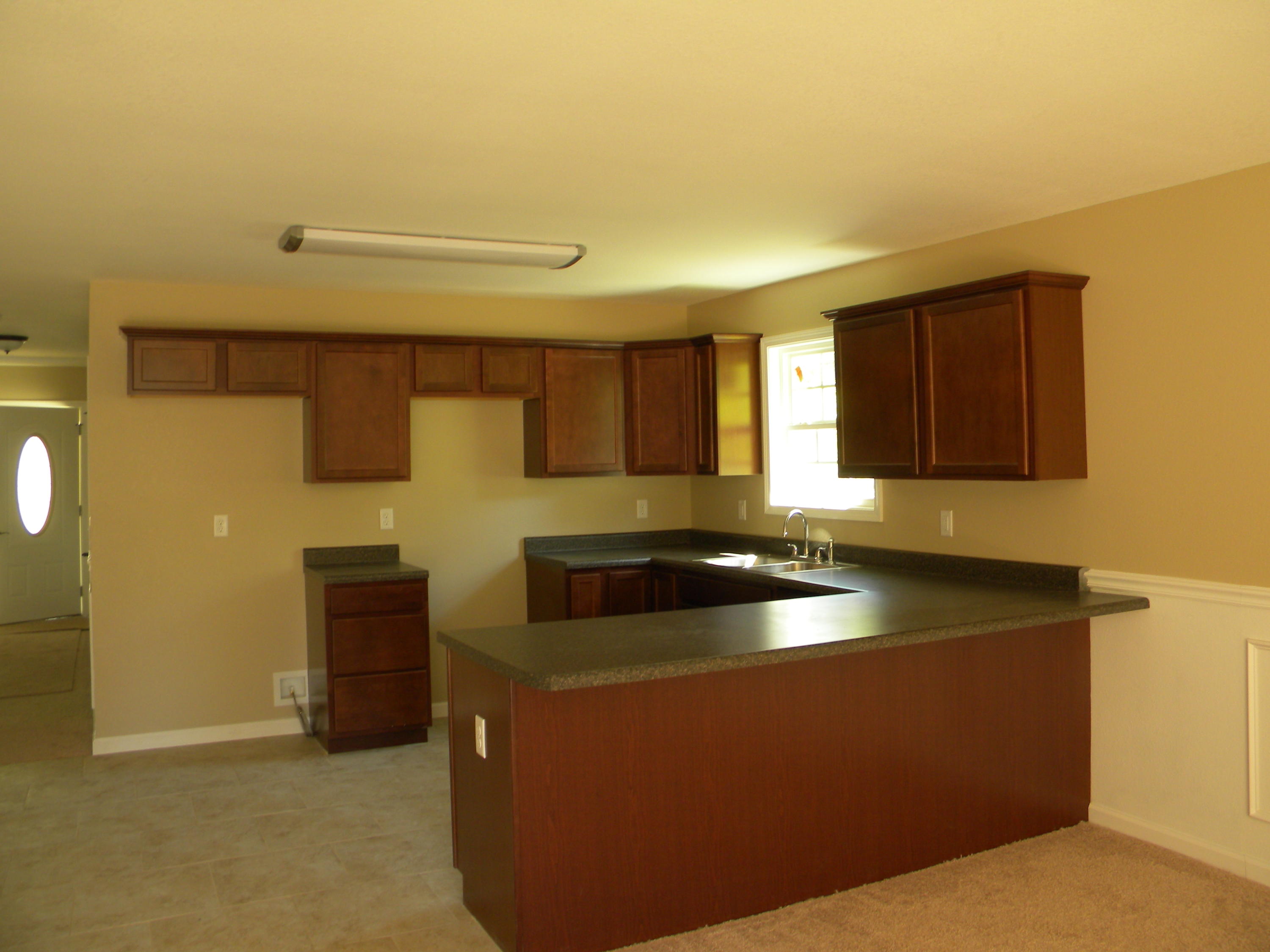 1264 Tramel Road Sevierville, TN 37862 - Photo 4 of 14 DSCN8444