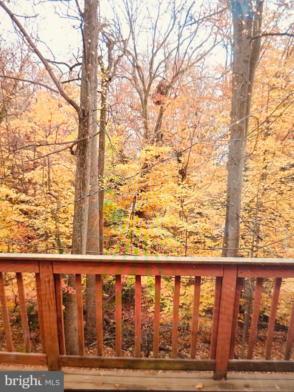 5020 Dermond Road Drexel Hill, PA 19026 - Photo 36 of 39 a street view from a window