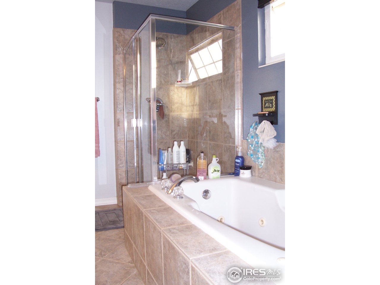 114 Ridge Road Eaton, CO 80615 - Photo 11 of 22 Gallery Image 11