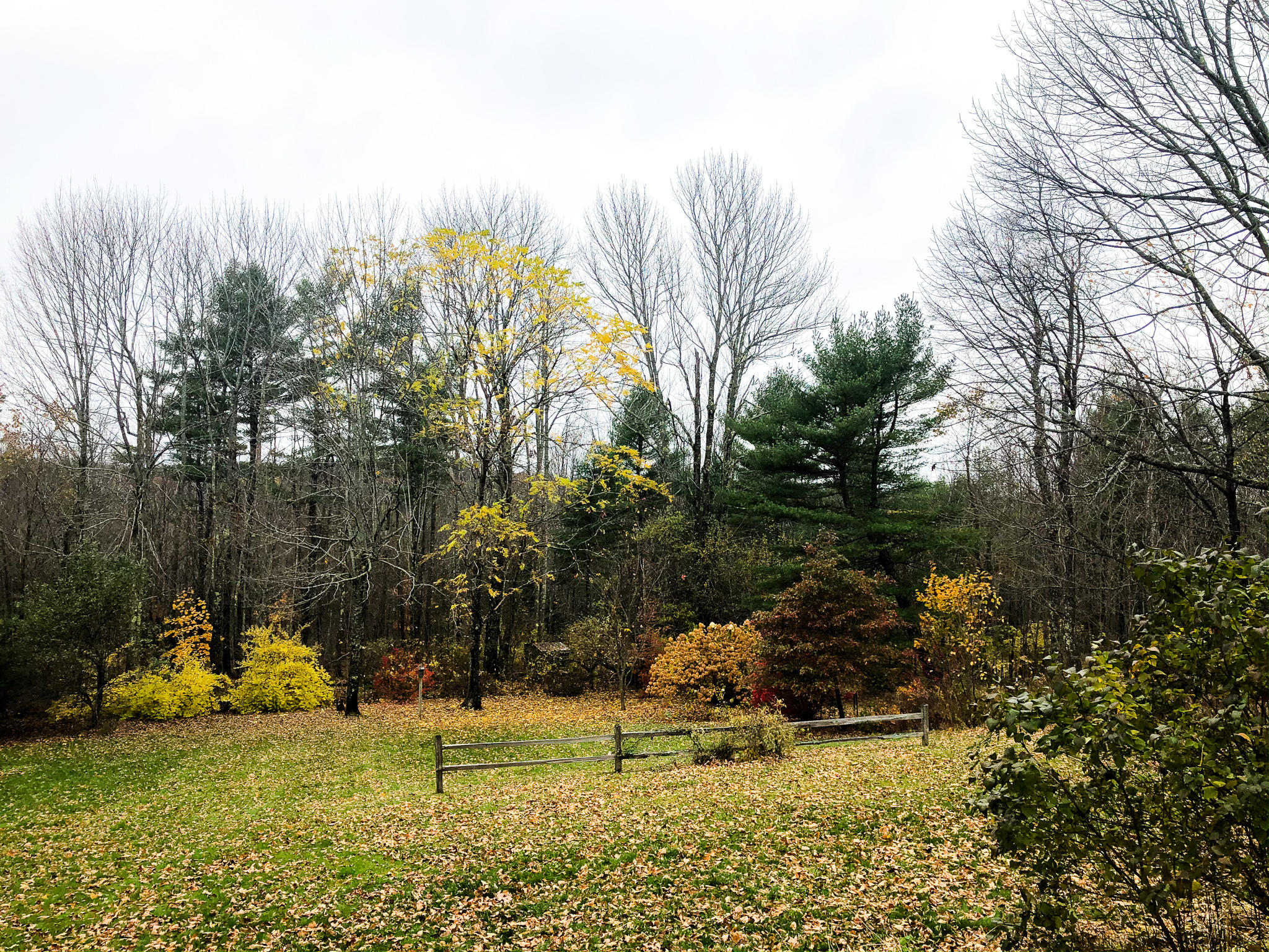 584 Ridge Road Windsor, ME 04363 - Photo 38 of 56 IMG_2859