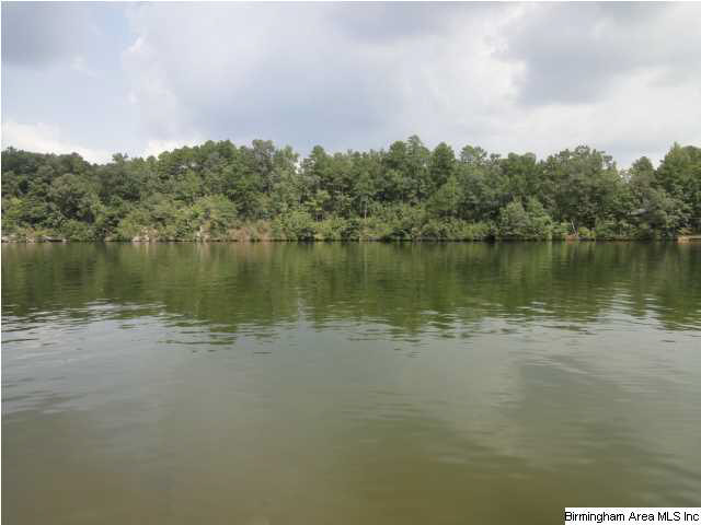 554 Creek Run Road Wedowee, AL 36278 - Photo 24 of 27