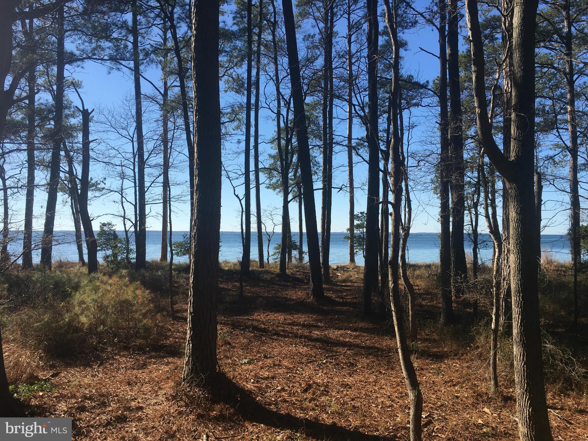 Shipsview Way Piney Point, MD 20674 - Photo 1 of 9 Water View from lot