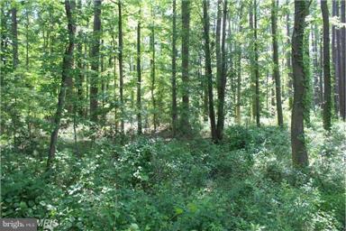 Shipsview Way Piney Point, MD 20674 - Photo 5 of 9 1.7 acre wooded lot