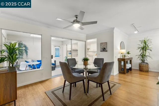 a view of a livingroom with furniture and a potted plant