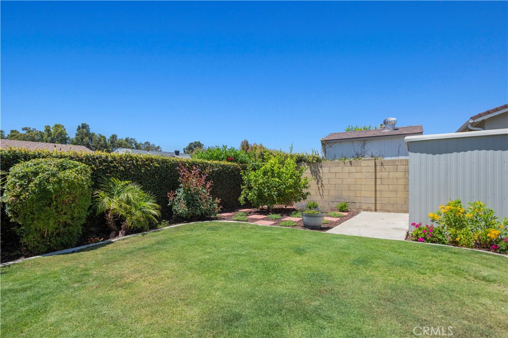 2467 Marisa Place Simi Valley, CA 93065 - Photo 26 of 29 Dwarf lemon tree in the corner of the backyard.