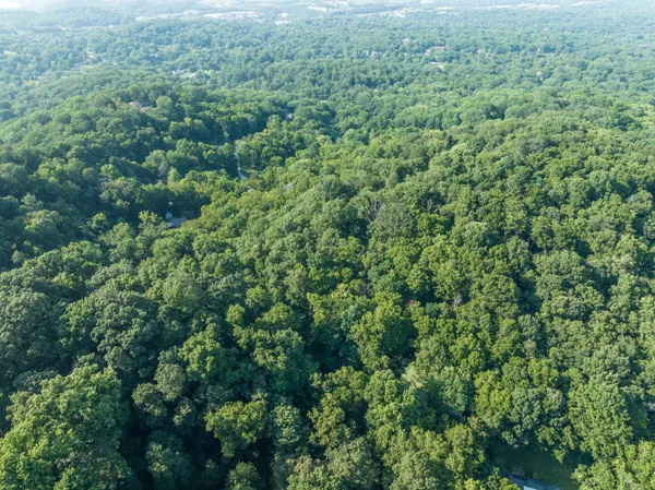 an aerial view of residential house with outdoor space and trees all around