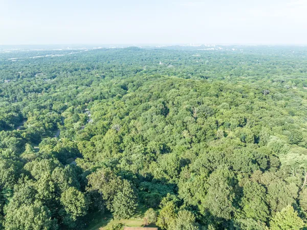 view of a green field with lots of bushes